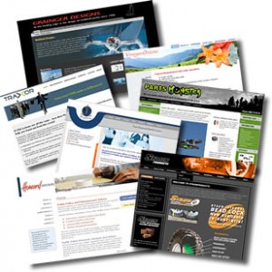 Making Money Of The Web